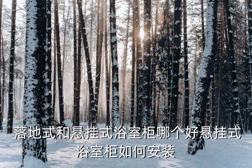 衛(wèi)浴柜落地鏡圖片大全,簡(jiǎn)單衛(wèi)浴柜鏡圖片