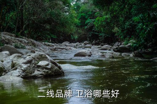 二線品牌 衛(wèi)浴哪些好