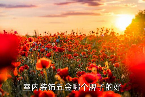 銀晶衛(wèi)浴定制品牌怎么樣,ac銀晶衛(wèi)浴是幾線品牌