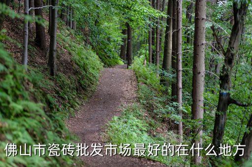 佛山市瓷磚批發(fā)市場最好的在什么地方