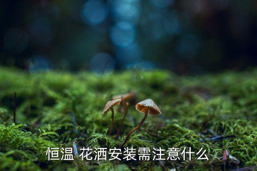恒溫 花灑安裝需注意什么