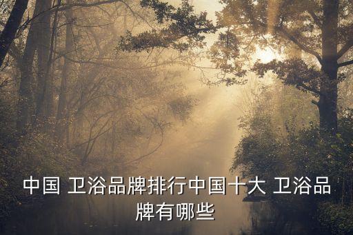 中國 衛(wèi)浴品牌排行中國十大 衛(wèi)浴品牌有哪些