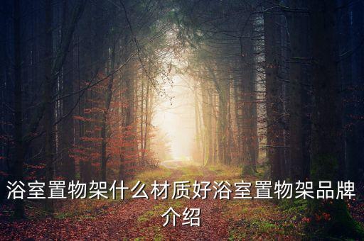 浴室置物架什么材質(zhì)好浴室置物架品牌介紹