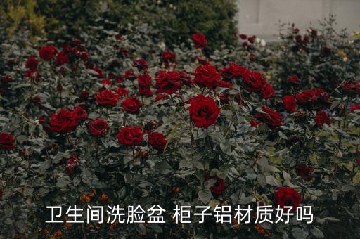 衛(wèi)生間洗臉盆 柜子鋁材質好嗎