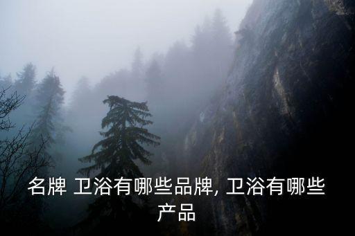 名牌 衛(wèi)浴有哪些品牌, 衛(wèi)浴有哪些產(chǎn)品