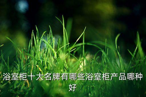 浴室柜十大名牌有哪些浴室柜產(chǎn)品哪種好