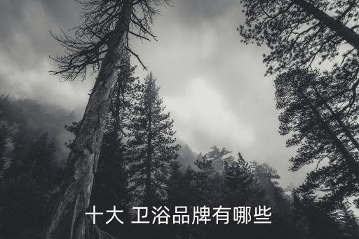 十大 衛(wèi)浴品牌有哪些