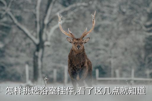 怎樣挑選浴室掛件,看了這幾點(diǎn)就知道