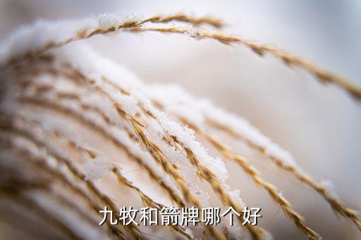 九牧衛(wèi)浴拜年圖片