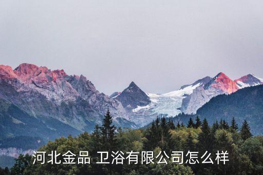 河北金品 衛(wèi)浴有限公司怎么樣