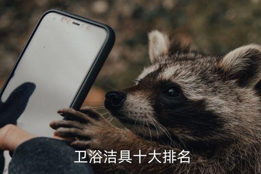  衛(wèi)浴潔具十大排名