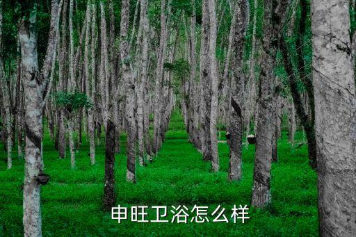 申旺衛(wèi)浴柜品牌
