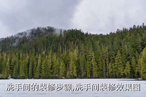 洗手間的裝修步驟,洗手間裝修效果圖