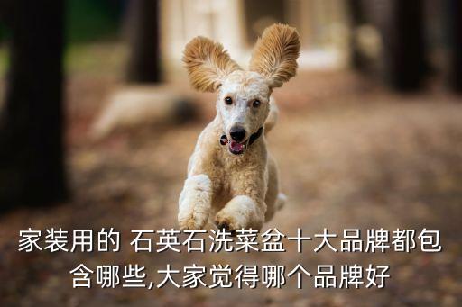 家裝用的 石英石洗菜盆十大品牌都包含哪些,大家覺得哪個品牌好