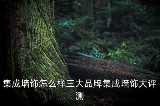集成墻飾怎么樣三大品牌集成墻飾大評測