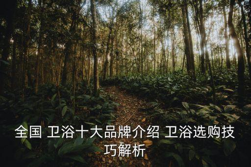 全國 衛(wèi)浴十大品牌介紹 衛(wèi)浴選購技巧解析