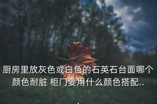 衛(wèi)浴柜門怎么換色的呢圖片