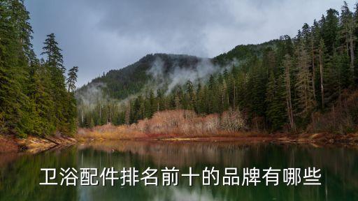 衛(wèi)浴配件排名前十的品牌有哪些