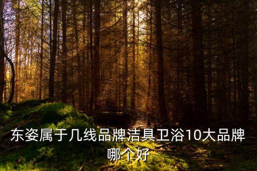 東姿屬于幾線品牌潔具衛(wèi)浴10大品牌哪個好