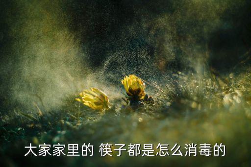 大家家里的 筷子都是怎么消毒的