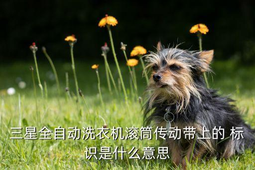 三星全自動(dòng)洗衣機(jī)滾筒傳動(dòng)帶上的 標(biāo)識(shí)是什么意思