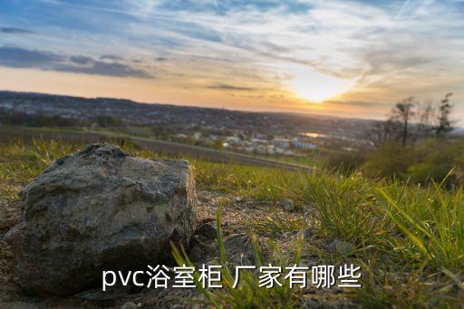 pvc浴室柜 廠家有哪些