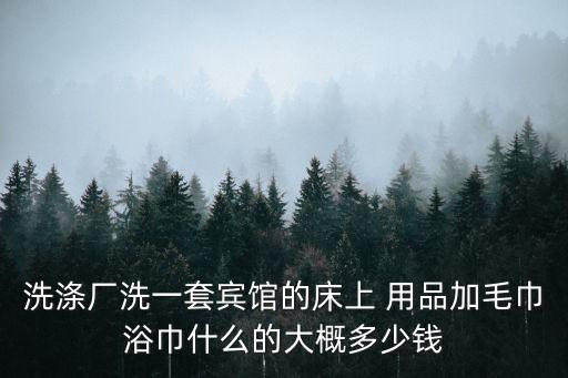 洗滌廠洗一套賓館的床上 用品加毛巾浴巾什么的大概多少錢