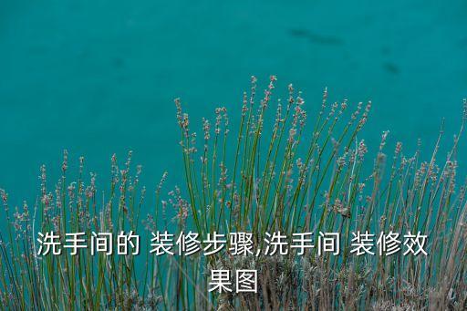 洗手間的 裝修步驟,洗手間 裝修效果圖