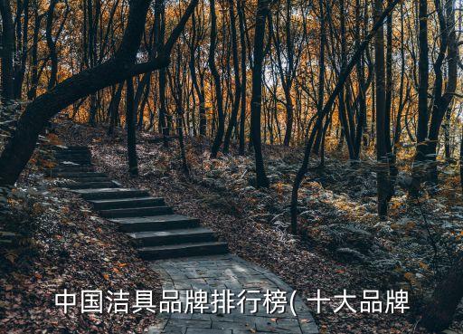 中國(guó)潔具品牌排行榜( 十大品牌