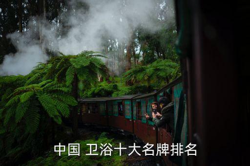 中國(guó) 衛(wèi)浴十大名牌排名