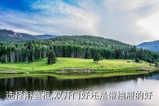 選擇浴室柜,雙開門好還是帶抽屜的好