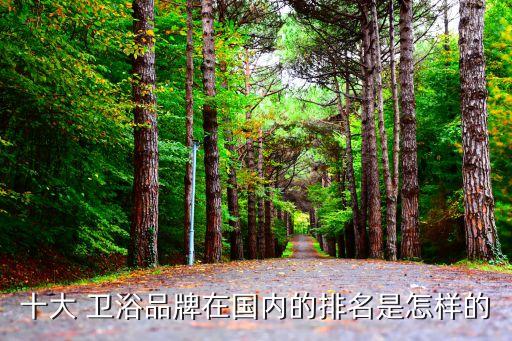 十大 衛(wèi)浴品牌在國(guó)內(nèi)的排名是怎樣的