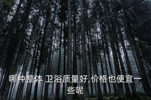 箭牌衛(wèi)浴單元圖片