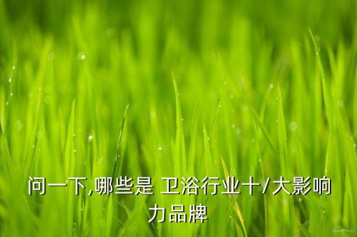 問一下,哪些是 衛(wèi)浴行業(yè)十/大影響力品牌