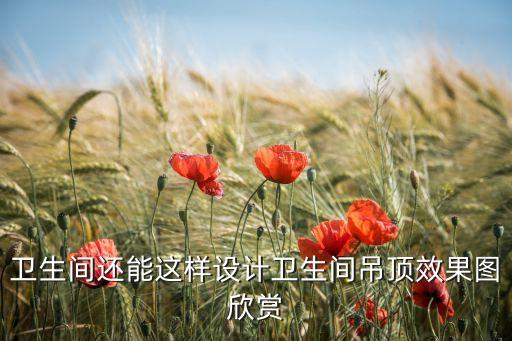 衛(wèi)生間還能這樣設(shè)計(jì)衛(wèi)生間吊頂效果圖欣賞