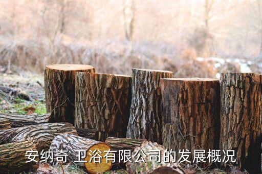 安納奇 衛(wèi)浴有限公司的發(fā)展概況