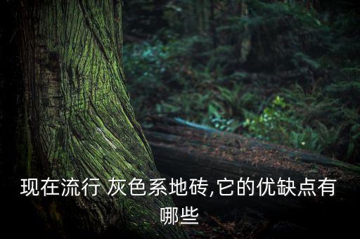 現(xiàn)在流行 灰色系地磚,它的優(yōu)缺點(diǎn)有哪些