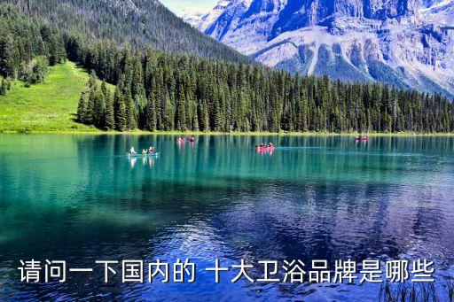 請問一下國內(nèi)的 十大衛(wèi)浴品牌是哪些