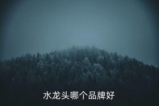水龍頭哪個(gè)品牌好