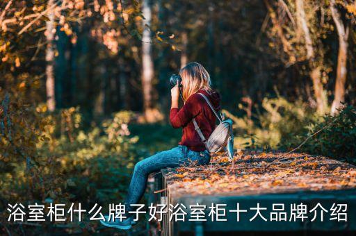 浴室柜什么牌子好浴室柜十大品牌介紹