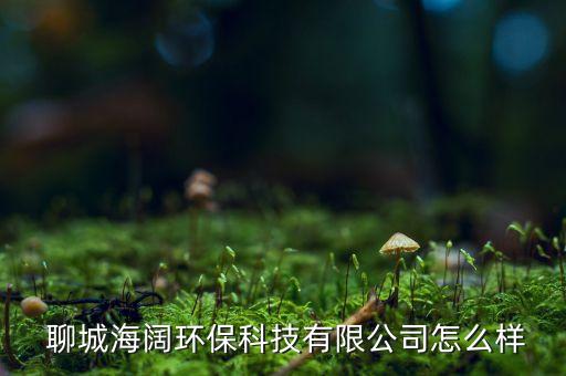  聊城海闊環(huán)?？萍加邢薰驹趺礃? class=