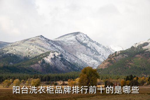  陽(yáng)臺(tái)洗衣柜品牌排行前十的是哪些