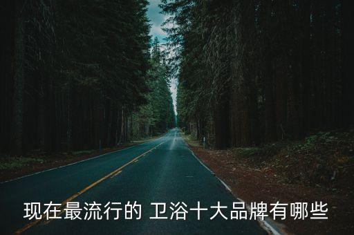 現(xiàn)在最流行的 衛(wèi)浴十大品牌有哪些