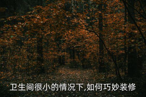 衛(wèi)生間很小的情況下,如何巧妙裝修