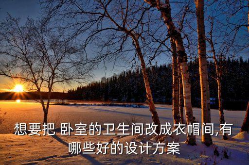 衛(wèi)浴收納整理改造臥室圖片
