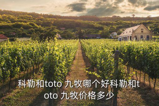 九牧王衛(wèi)浴圖片價位,正品九牧王衛(wèi)浴商標(biāo)圖片