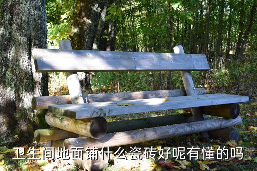 衛(wèi)生間地面鋪什么瓷磚好呢有懂的嗎