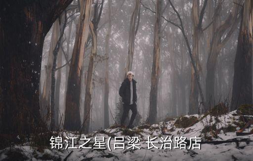 錦江之星(呂梁 長治路店