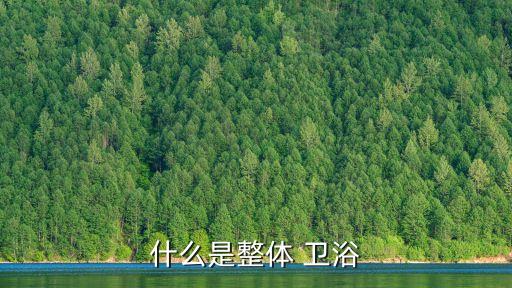 家用衛(wèi)浴介紹文案范文圖片