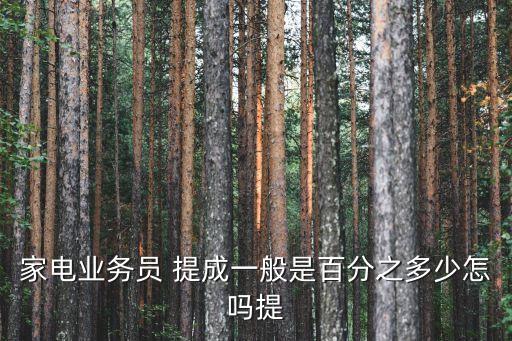家電業(yè)務(wù)員 提成一般是百分之多少怎嗎提